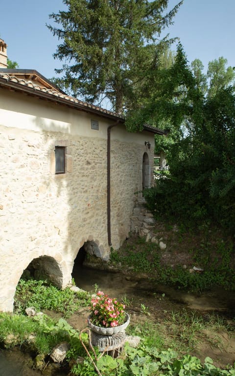 Property building, Garden, Diving, River view, River view