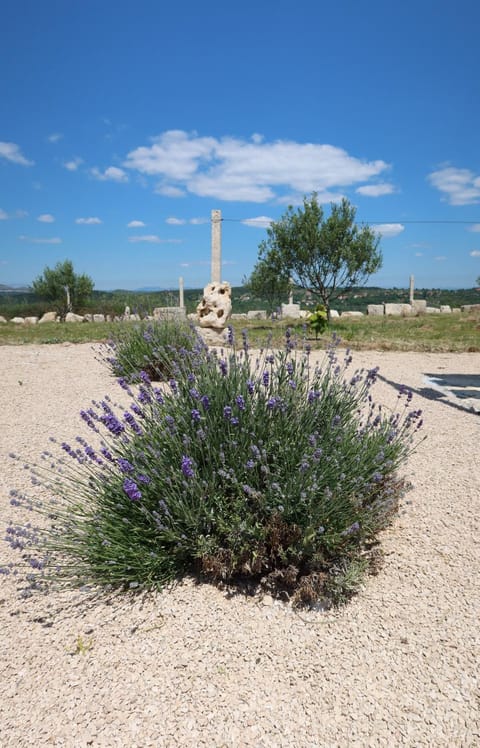 Nearby landmark, Day, Natural landscape