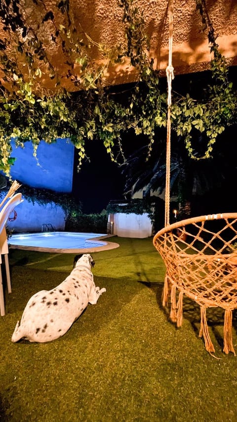 Patio, Spring, Night, Natural landscape, Garden, Living room, Seating area, Animals, Pets, Pets, Pets, Garden view