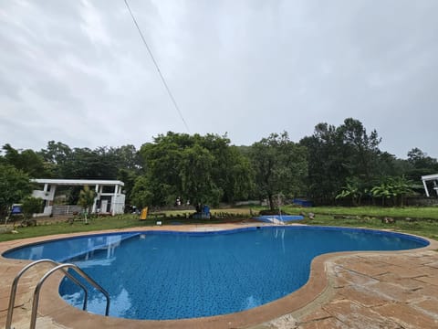 Swimming pool, Swimming pool