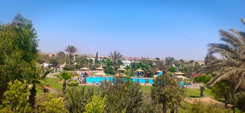 Day, Natural landscape, Garden, Garden view, Pool view, Swimming pool