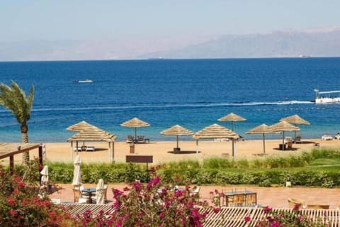 Natural landscape, Beach, Sea view, sunbed