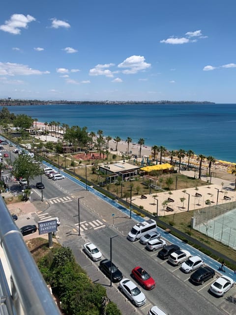 Property view