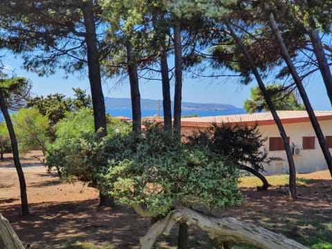 Natural landscape, Sea view