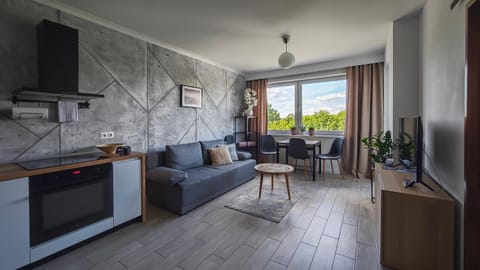 TV and multimedia, Kitchen or kitchenette, Living room, Dining area, dishwasher, internet, internet