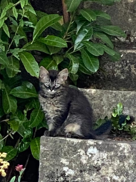 A la Maladière Apartment in Neuchâtel