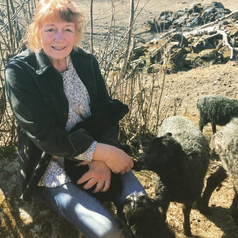 Natural landscape, Pets