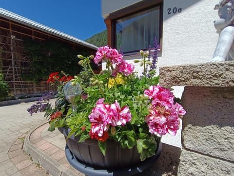 Ferienwohnung Sonja Apartment in Tyrol