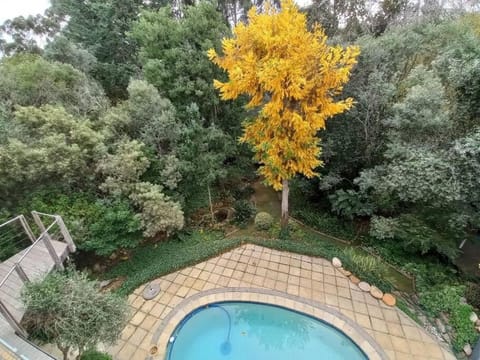 Pecan Tree Forest Studio B Apartment in Stellenbosch