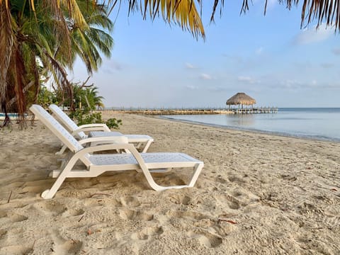 Sea view, sunbed