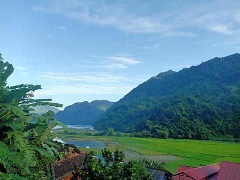 Lake view