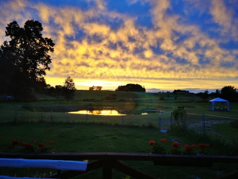 Natural landscape, View (from property/room), Sunset