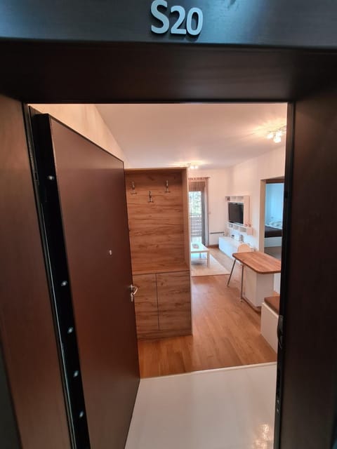 Balkan Hill 2 S20 Apartment in Zlatibor