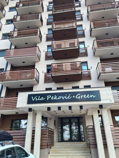 Balkan Hill 2 S20 Apartment in Zlatibor