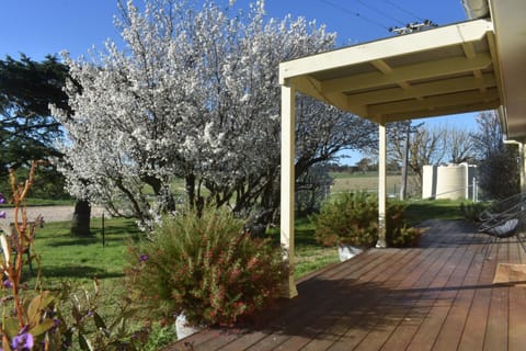 Spring
