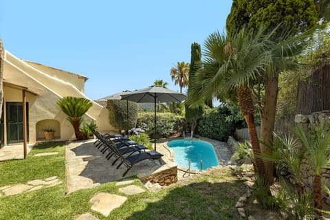 Garden, Swimming pool