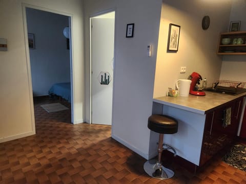 Dolphin's House Apartment in Avignon