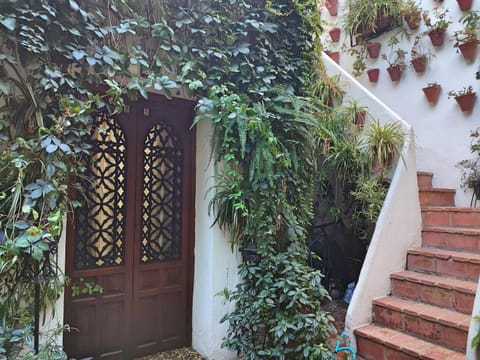 Patio, Facade/entrance