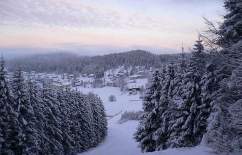 Winter, Mountain view