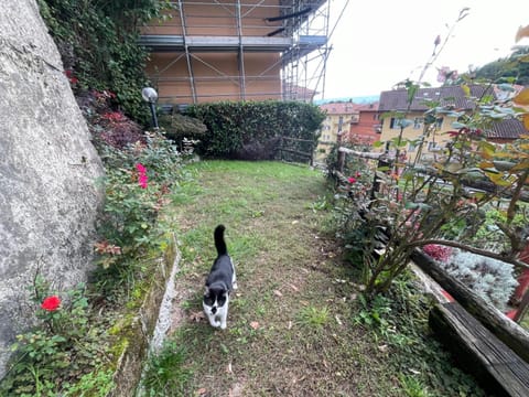 L'angolo di Erika House in Piedmont