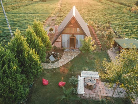 Property building, Spring, Day, Natural landscape, Garden, Garden view, Sunrise, Sunset