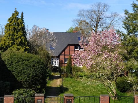 Property building, Day, Garden