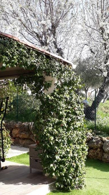 maison 2 ou 4 personnes jardin parking LES AMANDIERS House in Lorgues