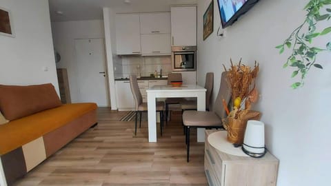 Apartman Zdravkovic & SPA Apartment in Vojvodina