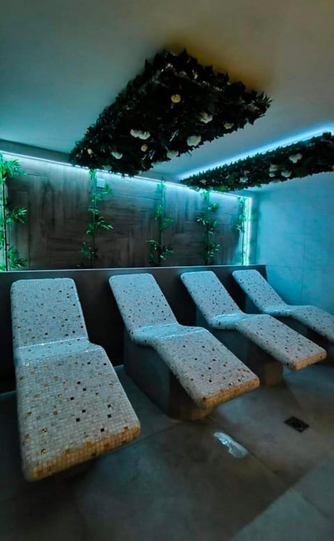 Apartman Zdravkovic & SPA Apartment in Vojvodina