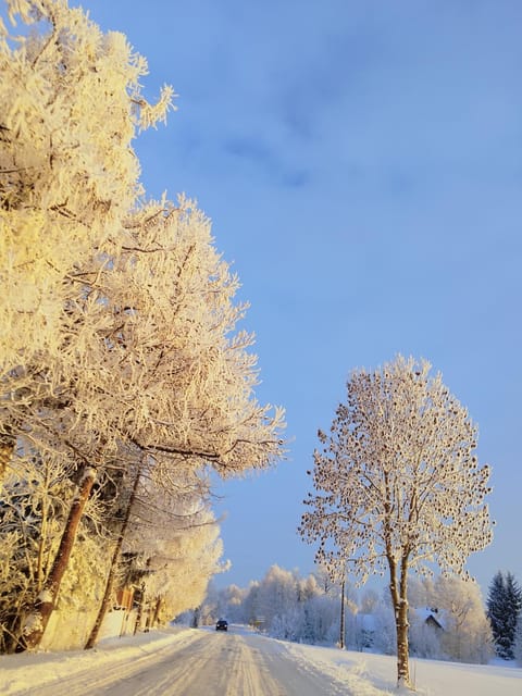 Day, Natural landscape, Winter