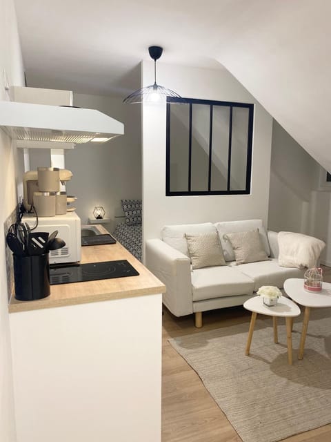 Le petit cocon Apartment in Tours