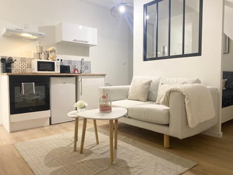 Le petit cocon Apartment in Tours