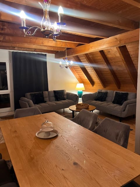 Get Cozy House in Zürich -renovated and newly furnished Winter 2026- Apartment in Zurich City