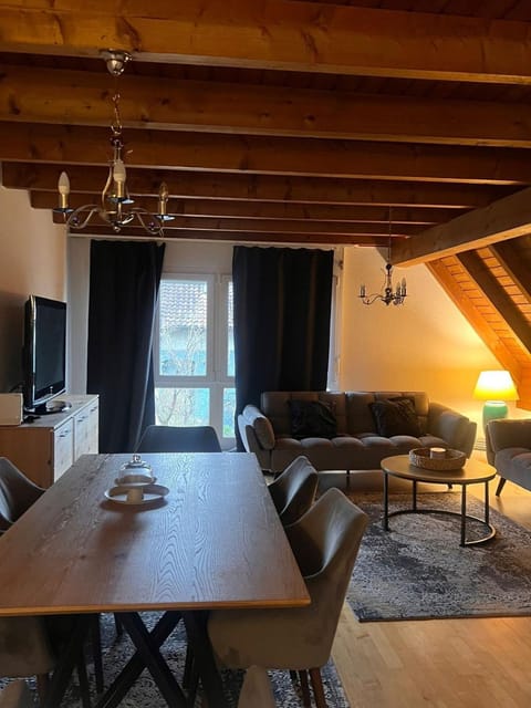 Get Cozy House in Zürich -renovated and newly furnished Winter 2026- Apartment in Zurich City
