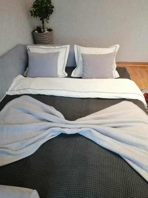 Anejo Belvil Apartment in Belgrade