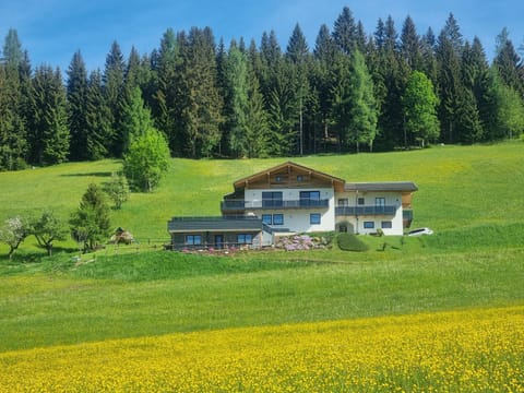 Property building, Natural landscape, Garden