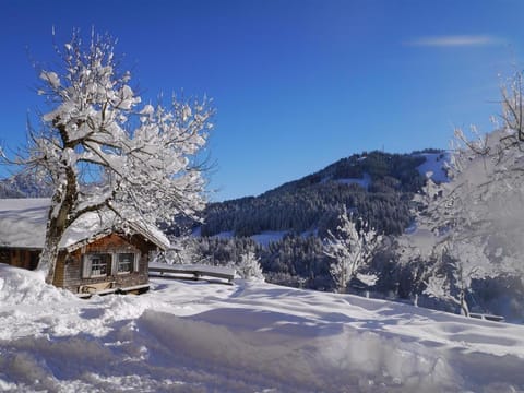 Winter, Mountain view