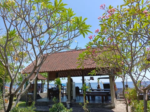 Garden, View (from property/room)