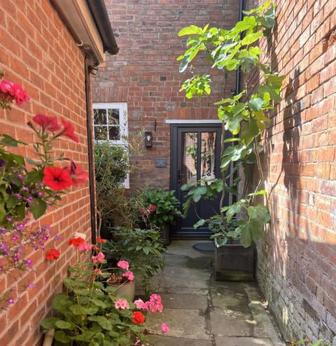 Property building, Day, Garden