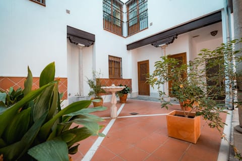 Patio, elevator, acessibility