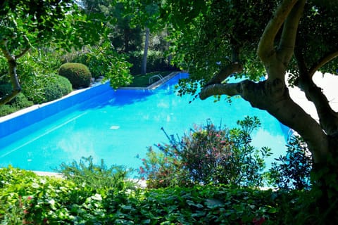 Garden, Swimming pool