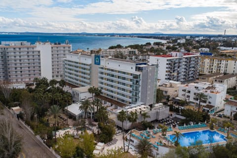 Property building, Bird's eye view