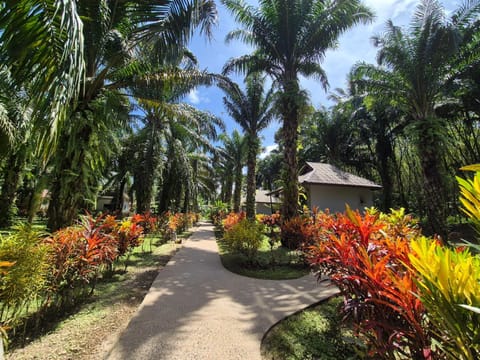 Day, Natural landscape, Garden