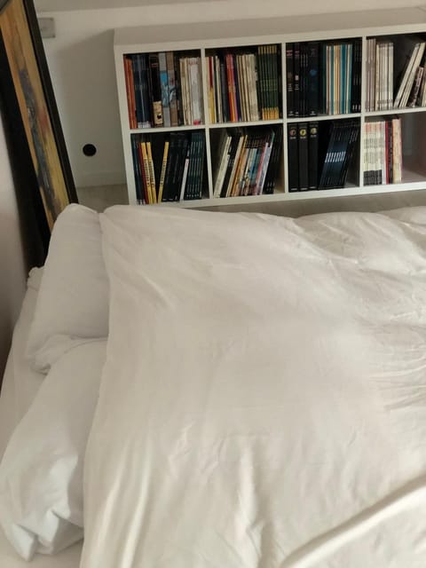 Bed, Library, Photo of the whole room, Bedroom