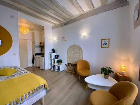 Joli studio hyper centre Apartment in Rouen