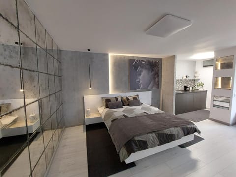 DAVID's studio Apartment in Timisoara