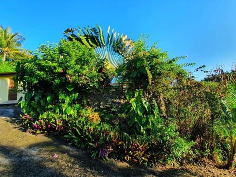 Villa Mascotte proche Bas du Fort avec piscine House in Le Gosier