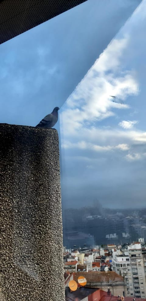 Day, Natural landscape, Bird's eye view, City view, Mountain view, Sea view