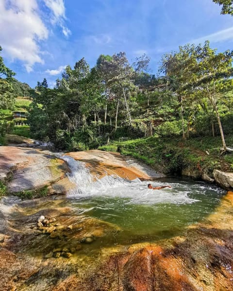 River view