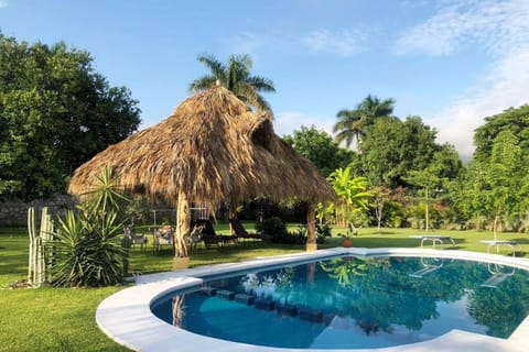 Natural landscape, Garden, Pool view, Swimming pool